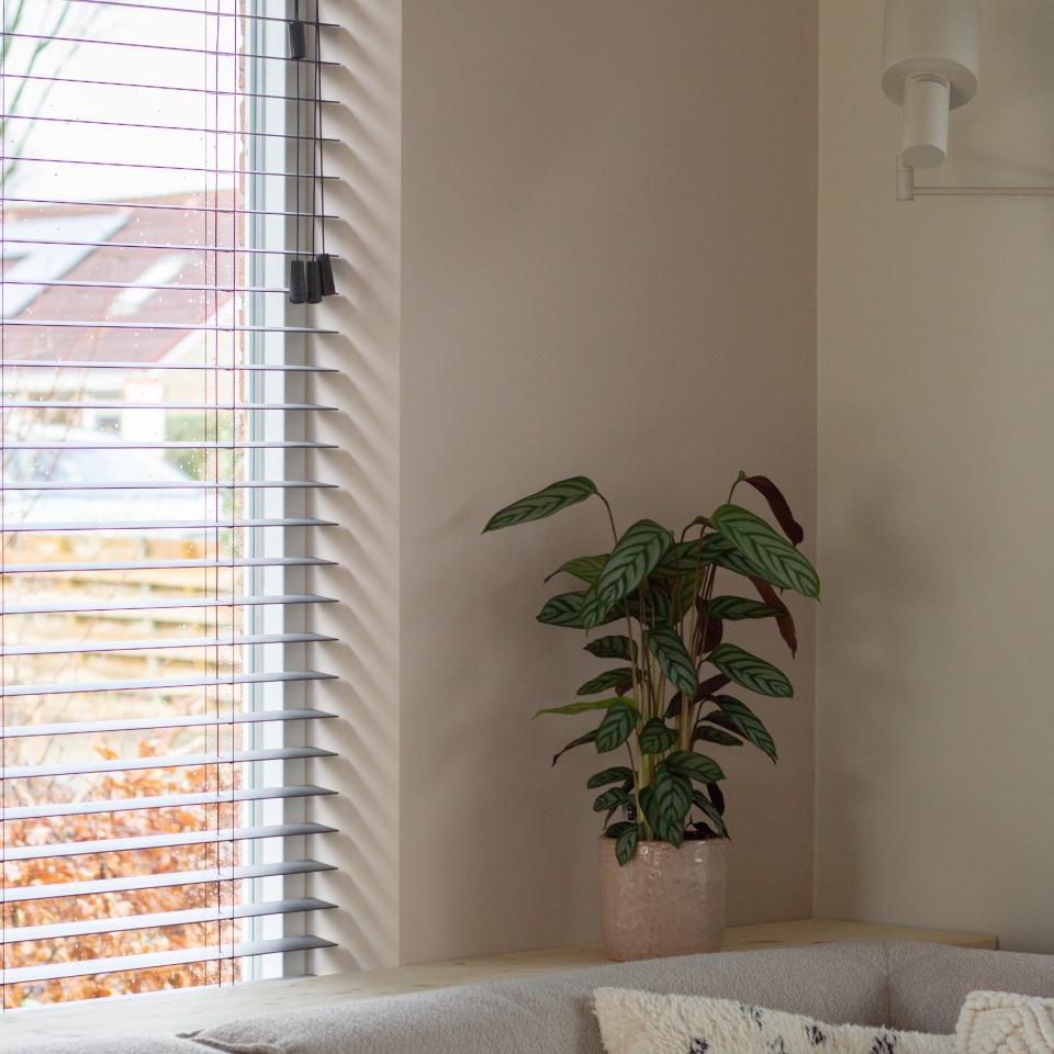 lippe wonen compleet interieur advies verf